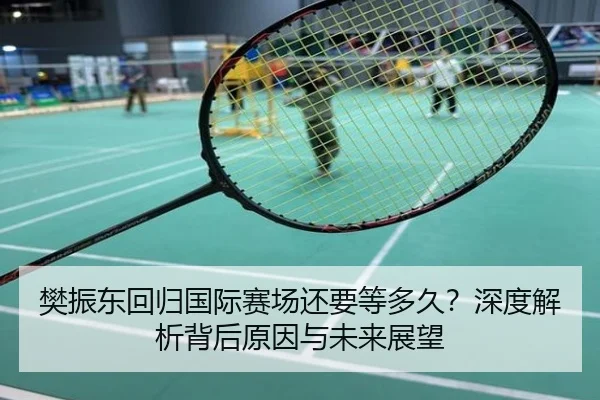 樊振东回归国际赛场还要等多久？深度解析背后原因与未来展望